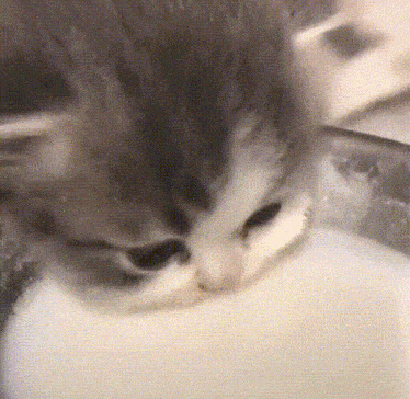 a close up of a kitten drinking milk from a glass