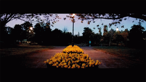 Rose Mciver Daffodils GIF - Rose Mciver Daffodils Daffodils Movie GIFs