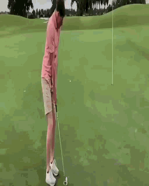 a man in a pink shirt is putting a golf ball on the green