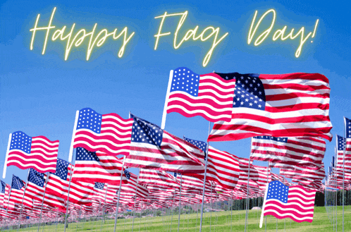 a bunch of american flags in a field with the words happy flag day written on the top