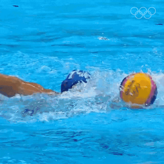 Swimming Olympics GIF - Swimming Olympics Securing The Ball GIFs