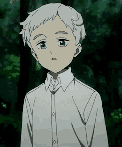 a young boy with blue eyes is wearing a white shirt and standing in a forest .