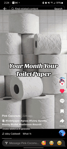 a phone screen shows a stack of toilet paper rolls with the caption " your month your toilet paper "