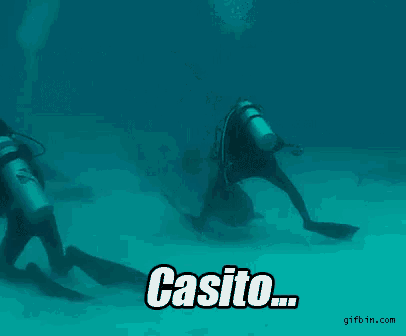 a picture of a scuba diver in the ocean with the word casito on it