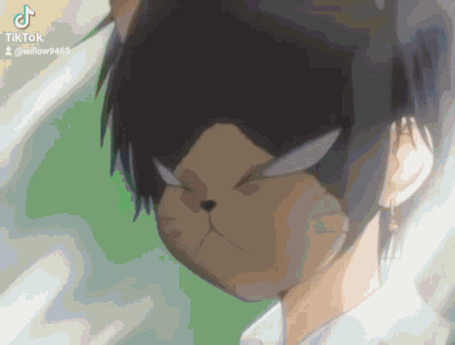 a close up of a person with a cat 's face on their face
