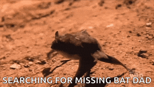 a picture of a bat with the words " searching for missing bat dad " below it