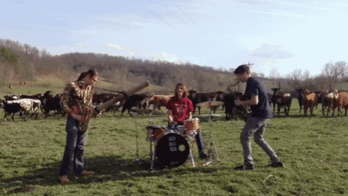 a group of people playing instruments in a field with cows