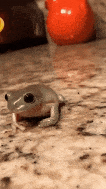 a frog is sitting on a granite counter next to an orange vase