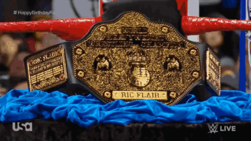 Big Gold Belt Goldie GIF - Big Gold Belt Big Gold Gold Belt GIFs