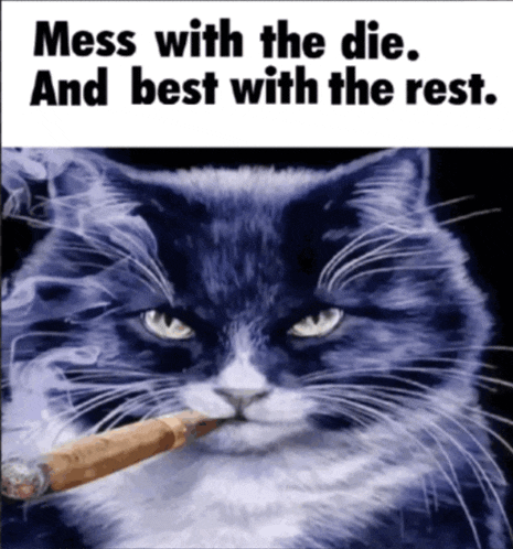 a cat with a cigarette in its mouth and the words mess with the die and best with the rest