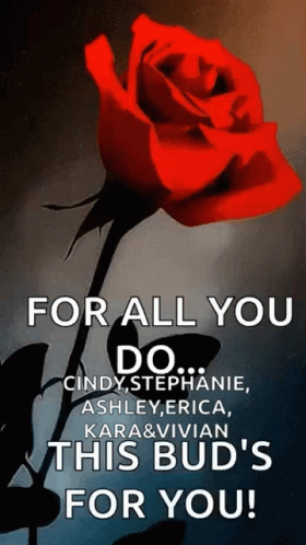 Red Rose Flower For You GIF - Red Rose Flower For You For All You Do GIFs