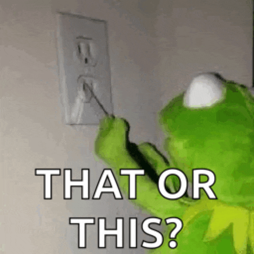 kermit the frog is plugging a cord into an electrical outlet and asking , `` that or this ? ''