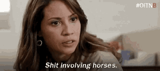 a woman is sitting at a table and saying `` shit involving horses . ''