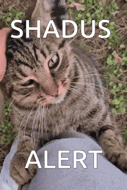 a cat is laying on a person 's leg with the words shadus alert written above it