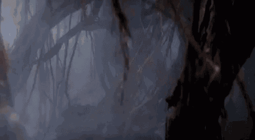 the word swing is on a dark background with a tree in the background .