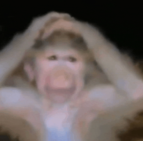 a close up of a monkey making a funny face with its hands on its head .