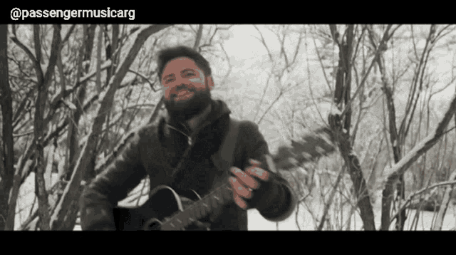 a man with a beard is playing a guitar in the woods