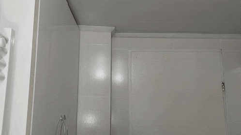 a close up of a person 's head in front of a white wall
