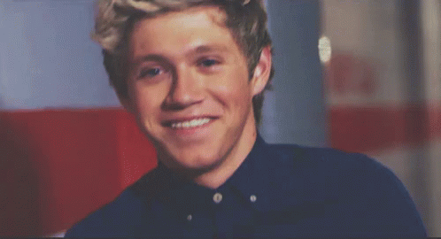 Niall, Mcm GIF - One Direction 1d Niall Horan GIFs
