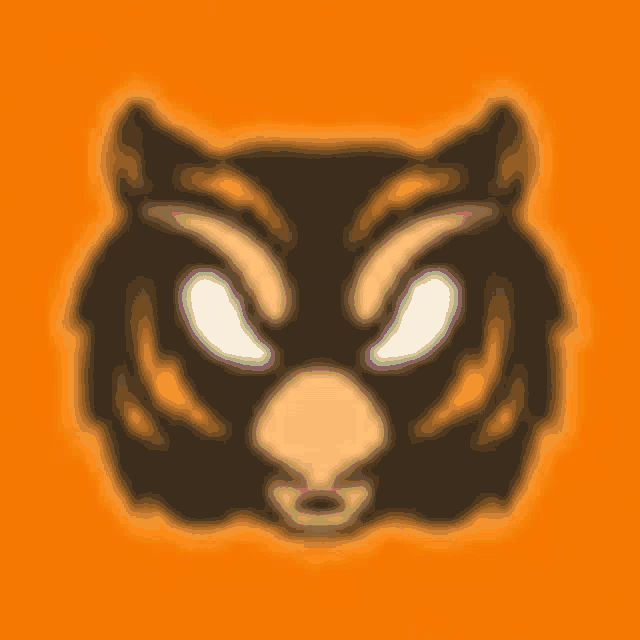 a close up of a tiger 's face on a yellow background