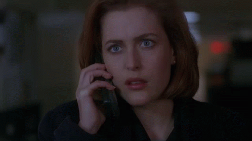 Okay Gillian Anderson GIF - Okay Gillian Anderson The X Files GIFs