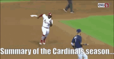 a summary of the cardinals season is displayed on the screen