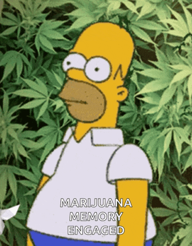 a cartoon of homer simpson standing in front of marijuana leaves