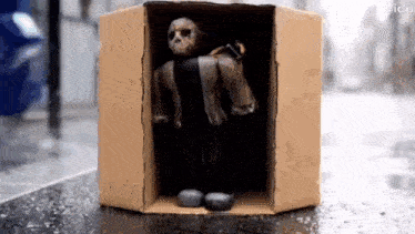 a toy robot is sitting in a cardboard box on the sidewalk .