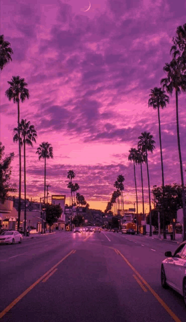 a car is driving down a street with palm trees and a purple sky in the background