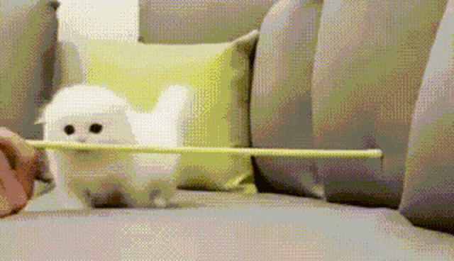 Kitten Limbo GIF - Kitten Limbo Jumping GIFs