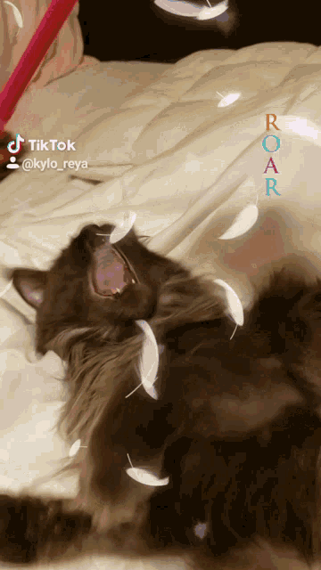 a cat laying on a bed with feathers coming out of its mouth and the word roar written on the bottom