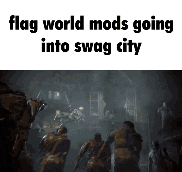 a meme that says flag world mods going into swag city with a picture of soldiers