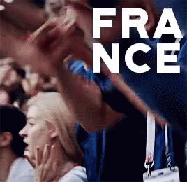 World Cup Final France GIF - World Cup Final France Fracro GIFs