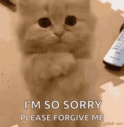 a cat is saying i 'm so sorry please forgive me while looking at the camera .