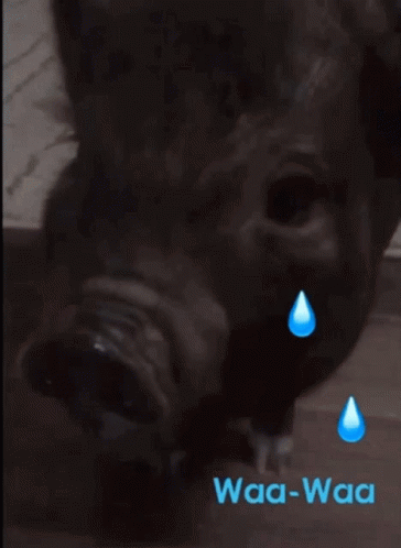 Crybaby Sorry GIF - Crybaby Cry Sorry GIFs