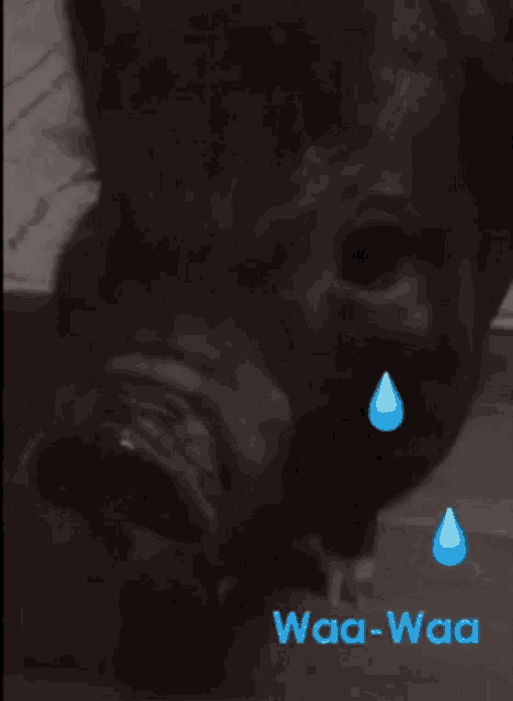 a picture of a pig with a tear coming out of its nose