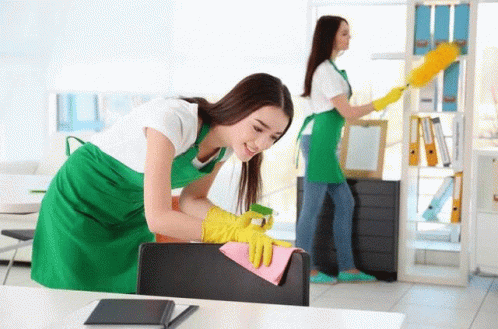 Janitorial Services Georgia Cleaning GIF - Janitorial Services Georgia Cleaning Clean Up GIFs