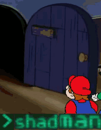 a cartoon of mario and luigi walking in front of a door with the words shadman written below them