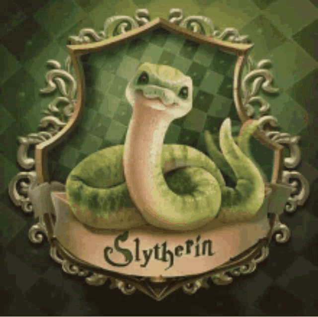 a picture of a snake with the word slytherin written on it