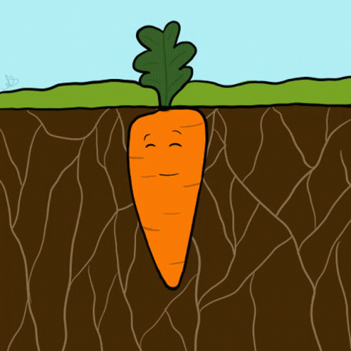 Carrot Garden GIF - Carrot Garden GIFs