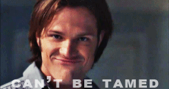 Can'T Be Tamed GIF - Lol Sam Winchester GIFs