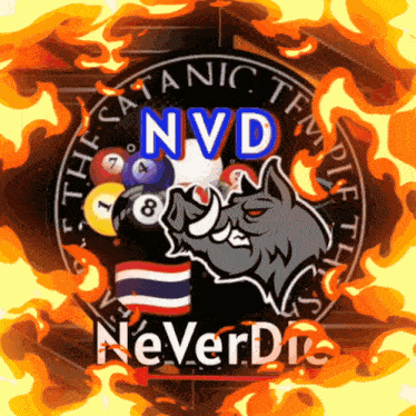 a picture of a boar with pool balls and the words nvd neverdie