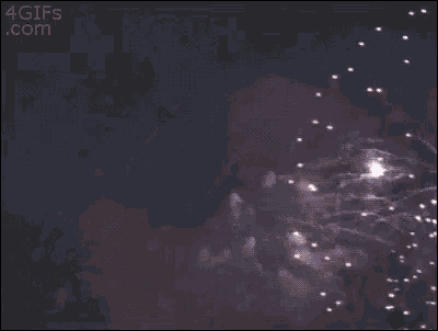 two fireworks are exploding in the night sky