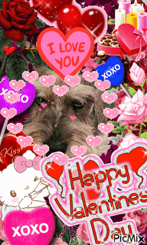a dog is surrounded by valentine 's day decorations including a heart that says i love you