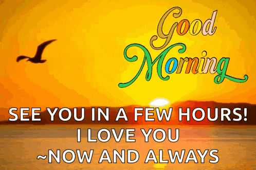 a good morning message with a sunset in the background and a bird flying over the ocean .