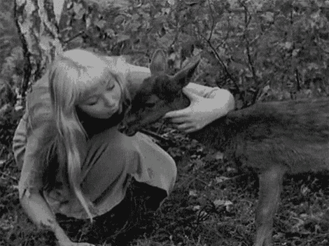 a woman is petting a small deer in the woods .