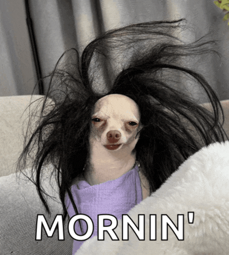 a picture of a dog with a wig and the word mornin '