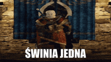 a statue of a man holding a sword with the words swinia jedna below him