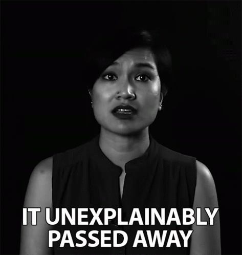 It Unexplainably Passed Away Died GIF - It Unexplainably Passed Away Died Passed On GIFs