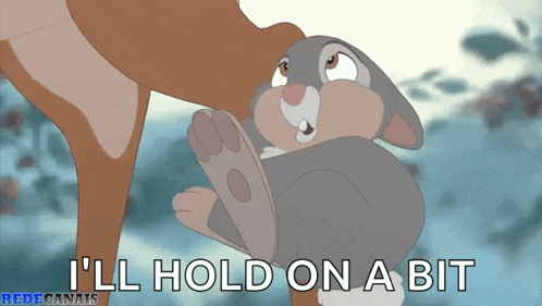 a picture of a rabbit with the words i 'll hold on a bit below it